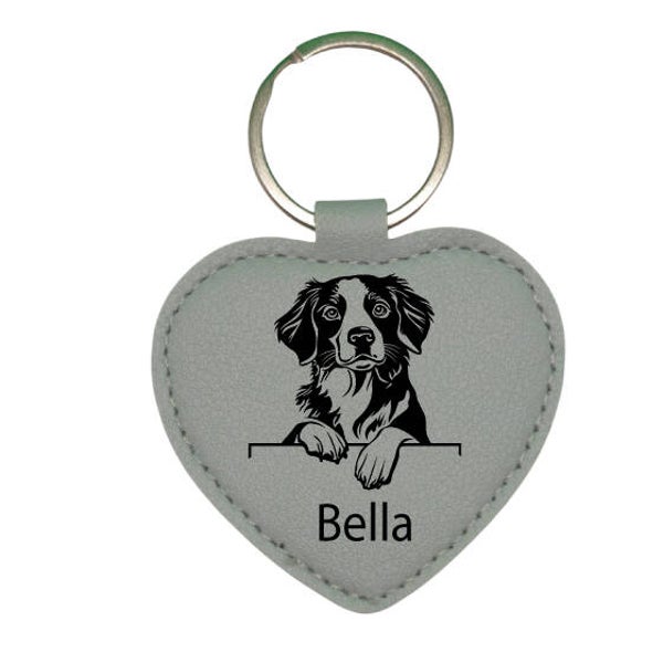 Hundemarke mit Gravur geräuschlos Brittany Spaniel