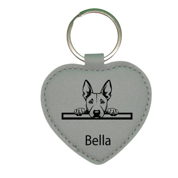 Hundemarke mit Gravur geräuschlos BULL TERRIER 3
