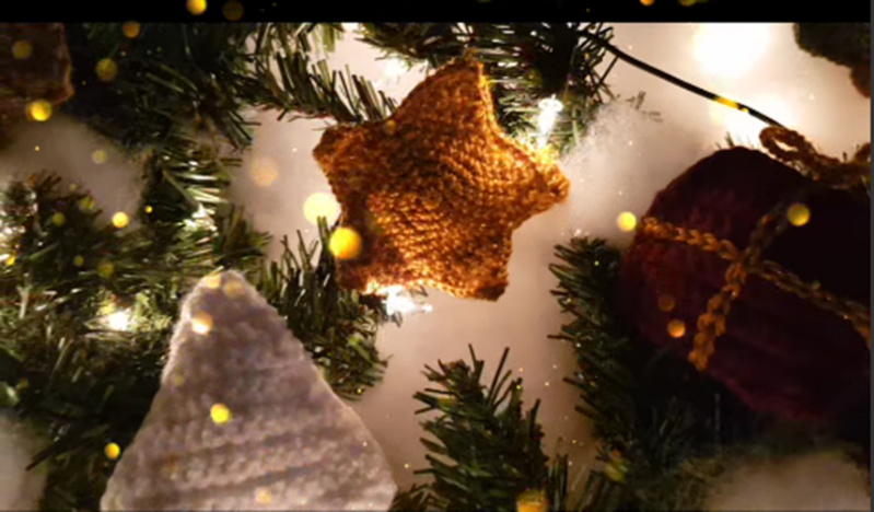 Knuffelactie voor de kat - kerst 2022