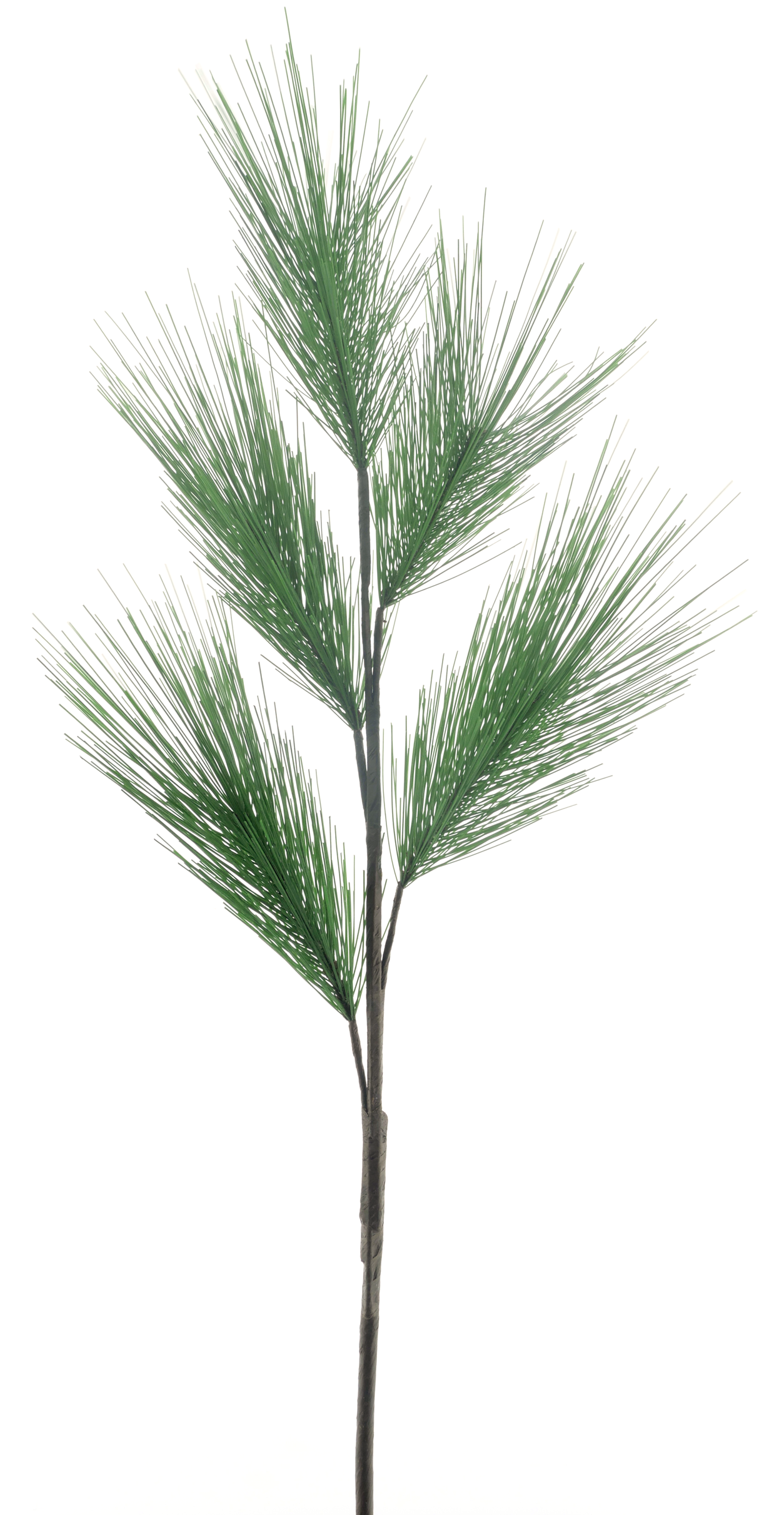 Dennennaalden tak | Decoratietak | Hej Hygge