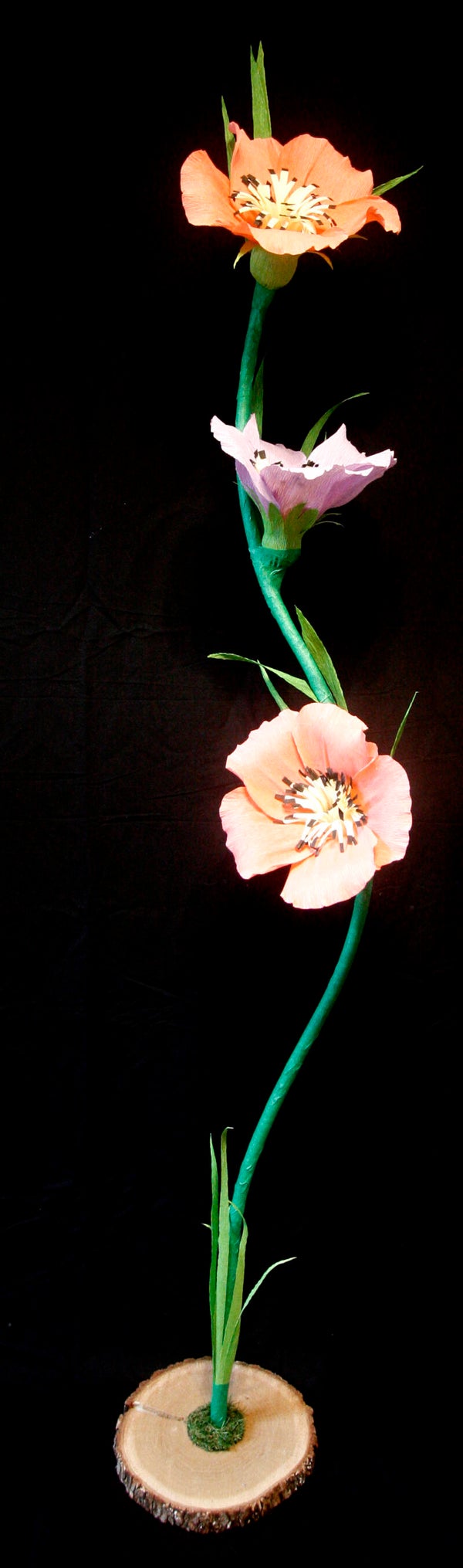 Bloemenset  Topzalm