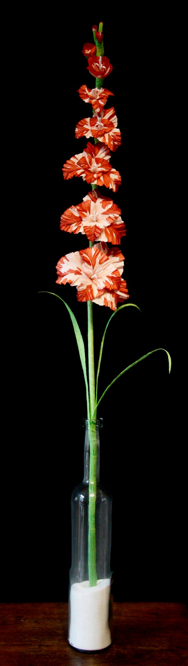 Gladiool roze