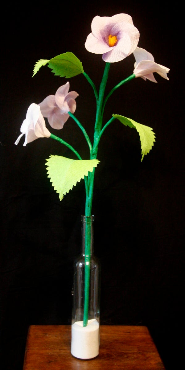 Malava in lichtlila met lila