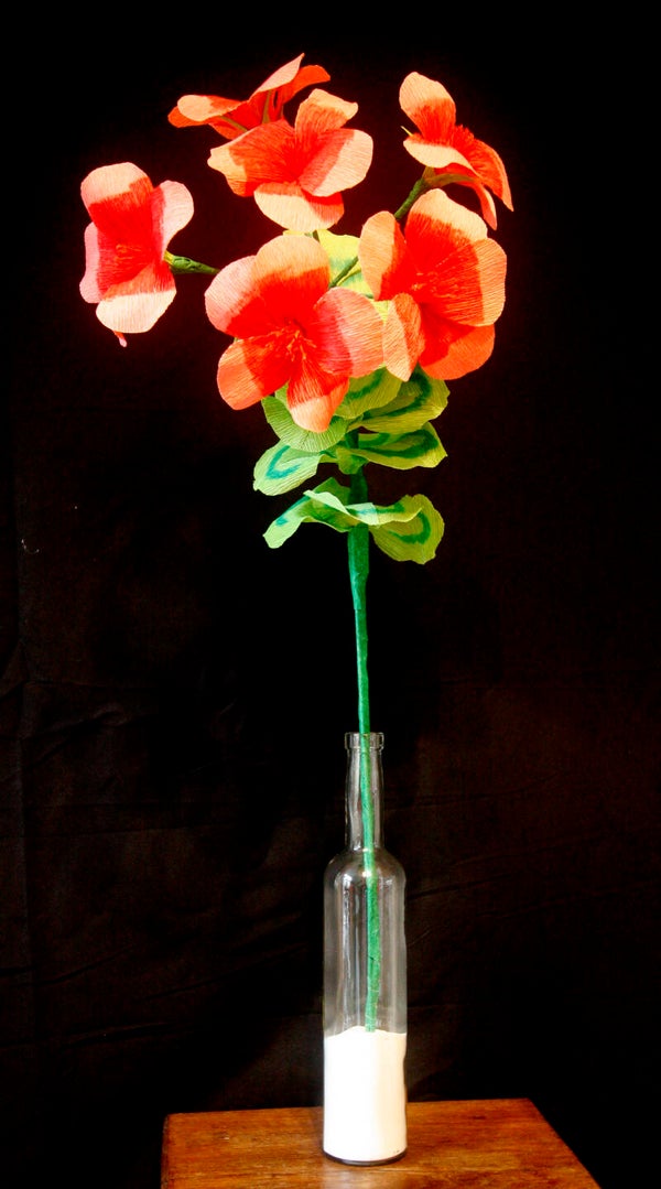 Hortensia (medium)