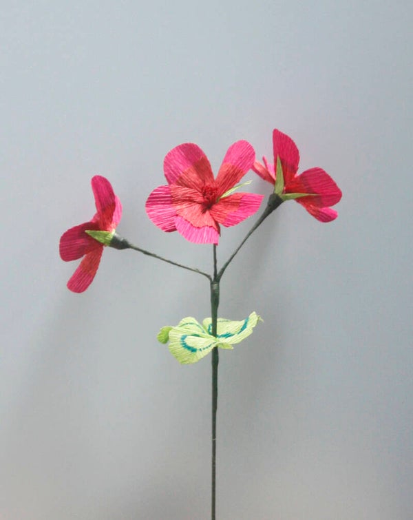 Hortensia (klein)