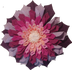 De Blije Bloem