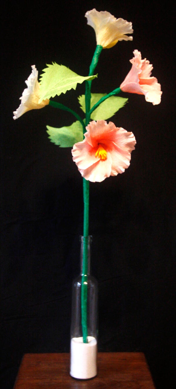 Malava in crèmekleur met zalm