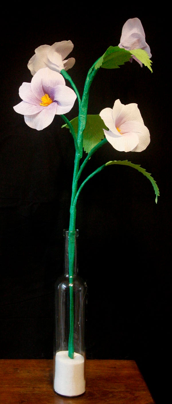 Malava in lichtlila met lila