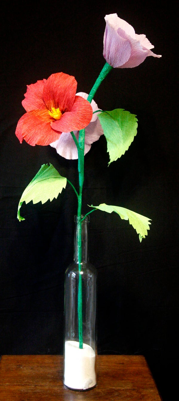 Malava in lila met donkerrood