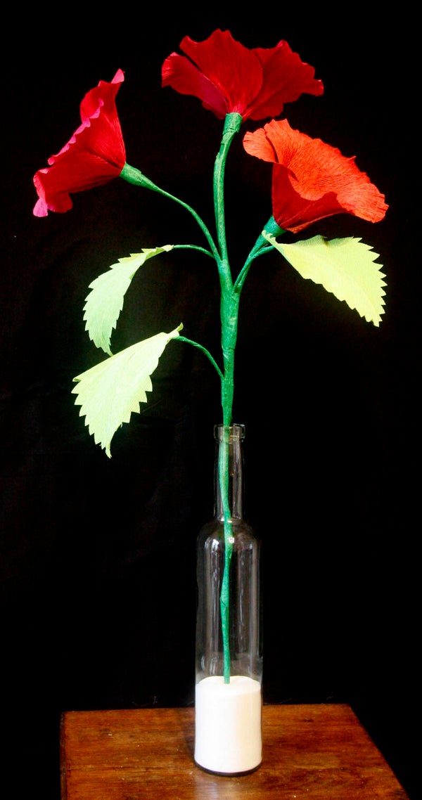 Malava in rood met donkerrood