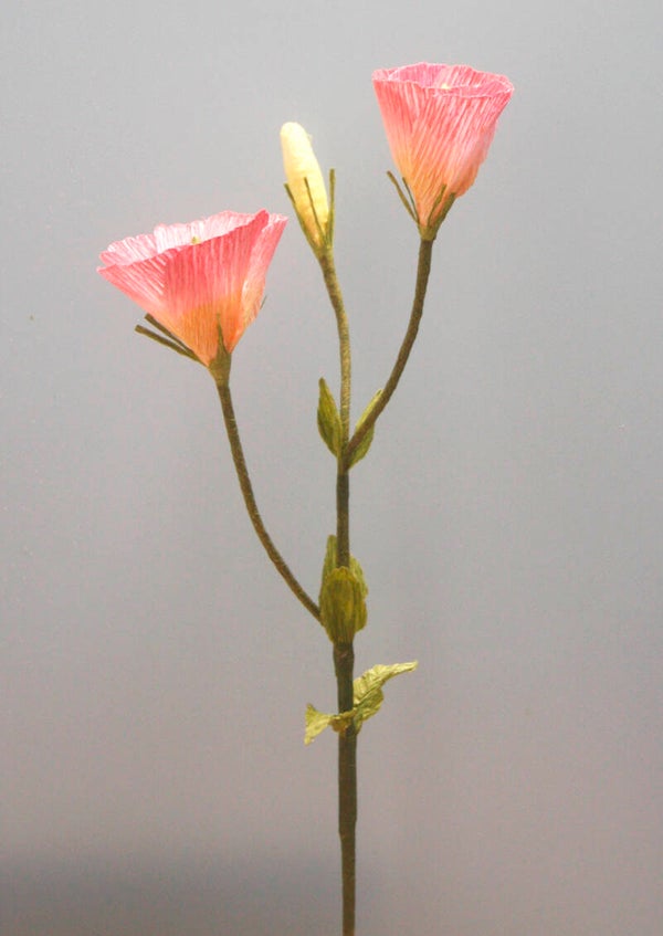 Lisianthus (2 bloemen, 1 knop)