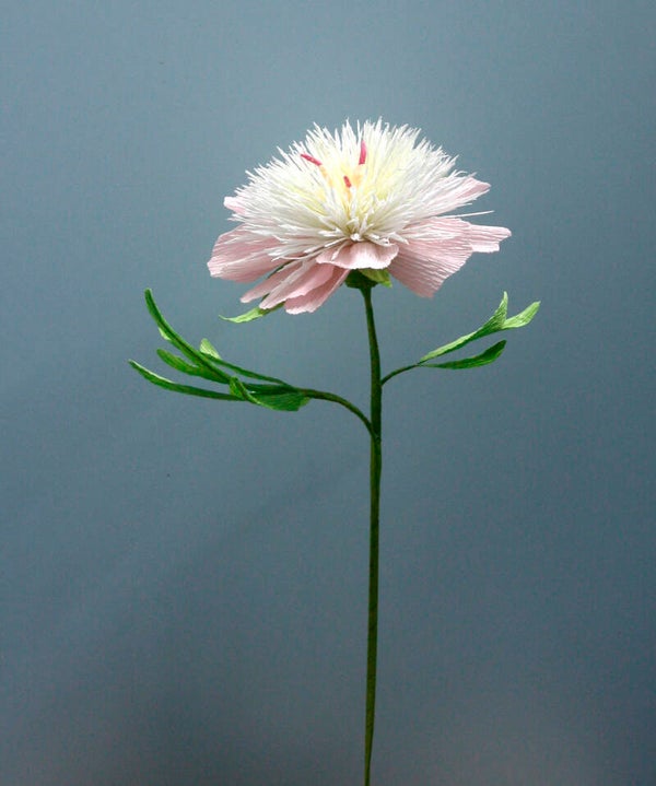 Pioen Bowl of Beauty