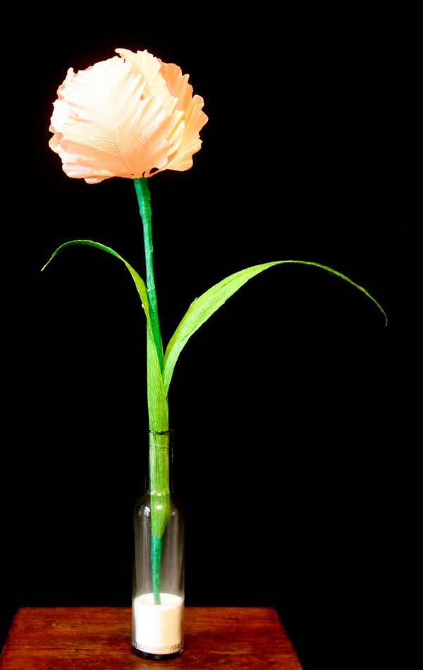 Tulp lichtroze (medium)