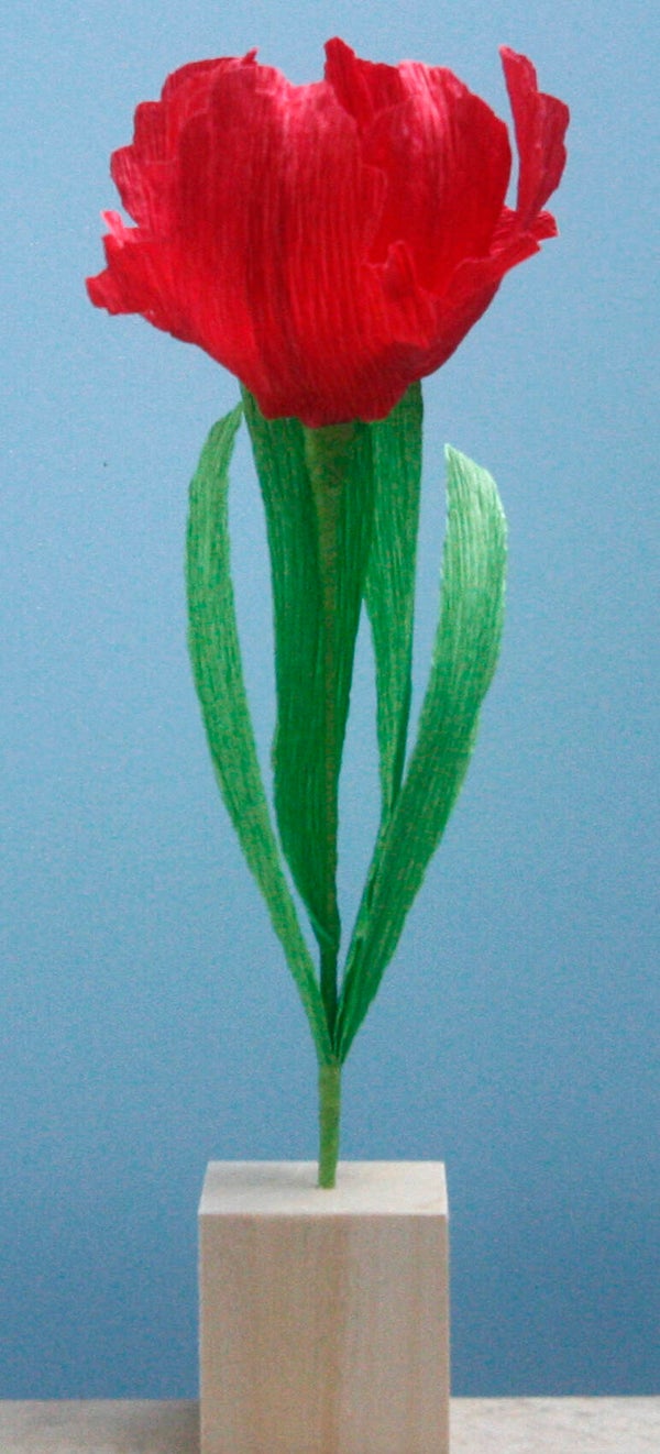 Tulp rood (klein)