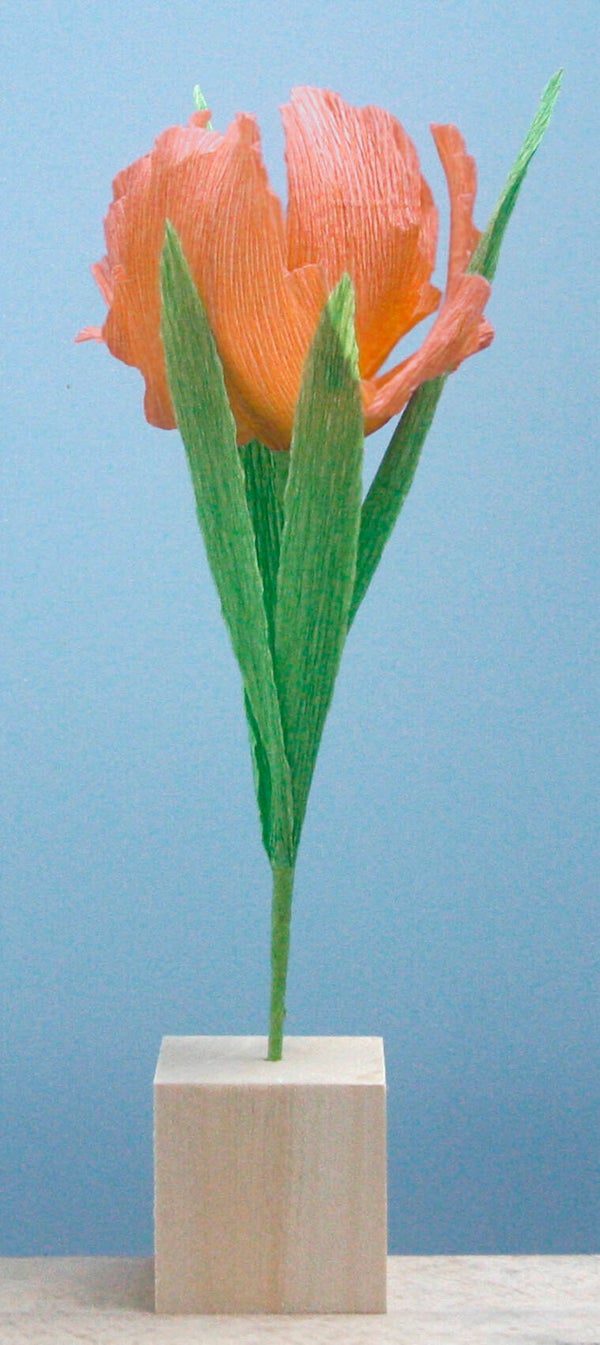Tulp roze (klein)