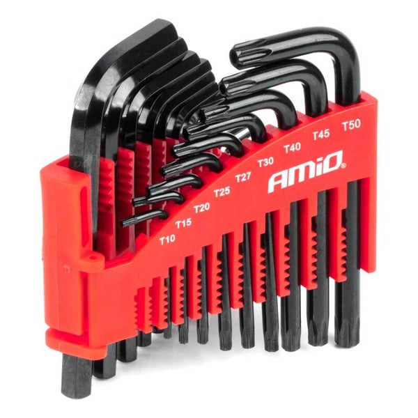 Inbus / Torx CRV black Allen key 22pcs AMIO-04297