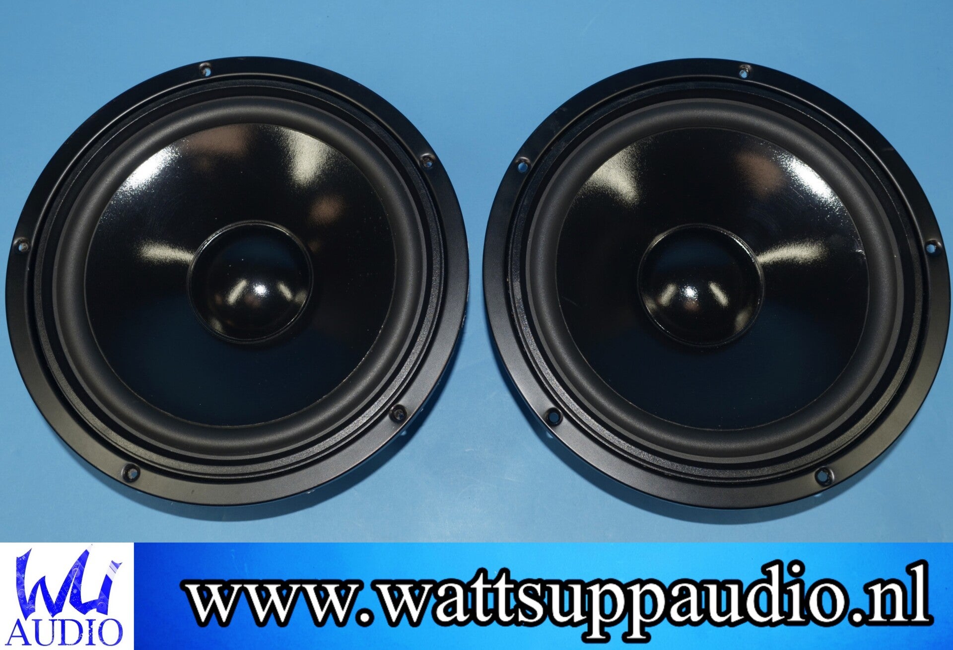VISATON W250S-4 10 inch midwoofer / speakers ( pair )