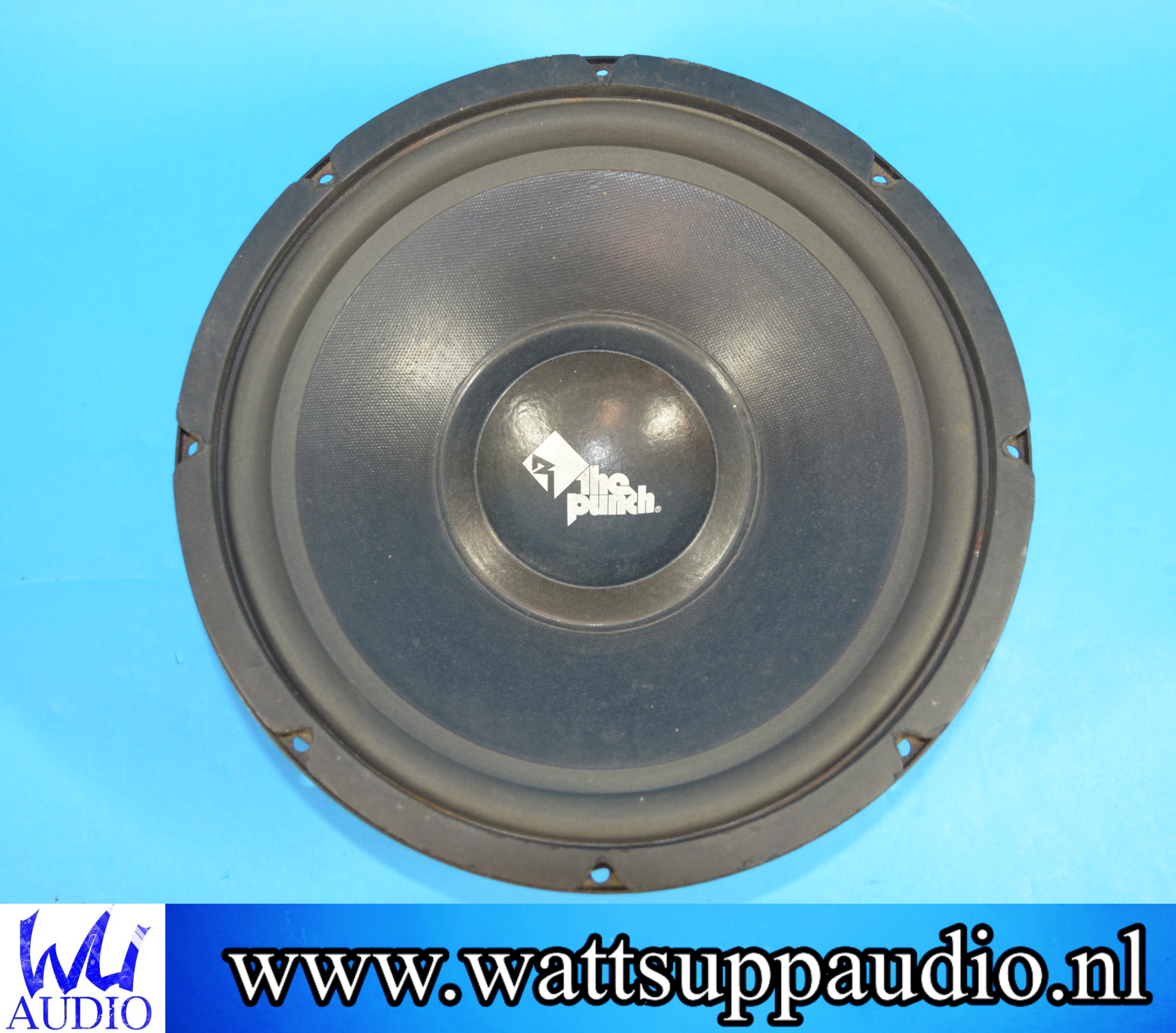 Rockford Fosgate PCH-128 12 inch subwoofer