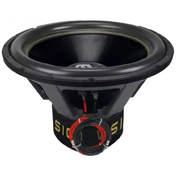 ESX VX21PRO 21 inch subwoofer 6000W RMS