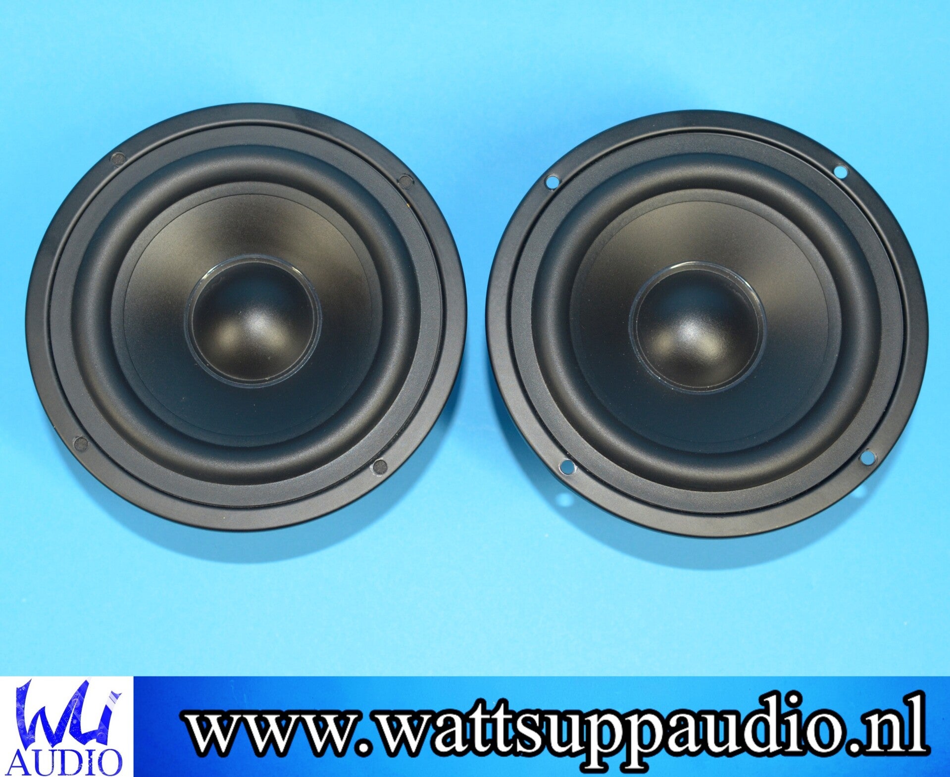 Hivi LM5N 5.25 mm ( 13cm ) midwoofer / speaker ( pair )