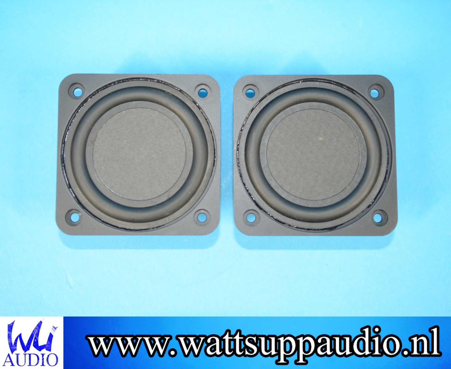 Peerless BMR46 Speakers