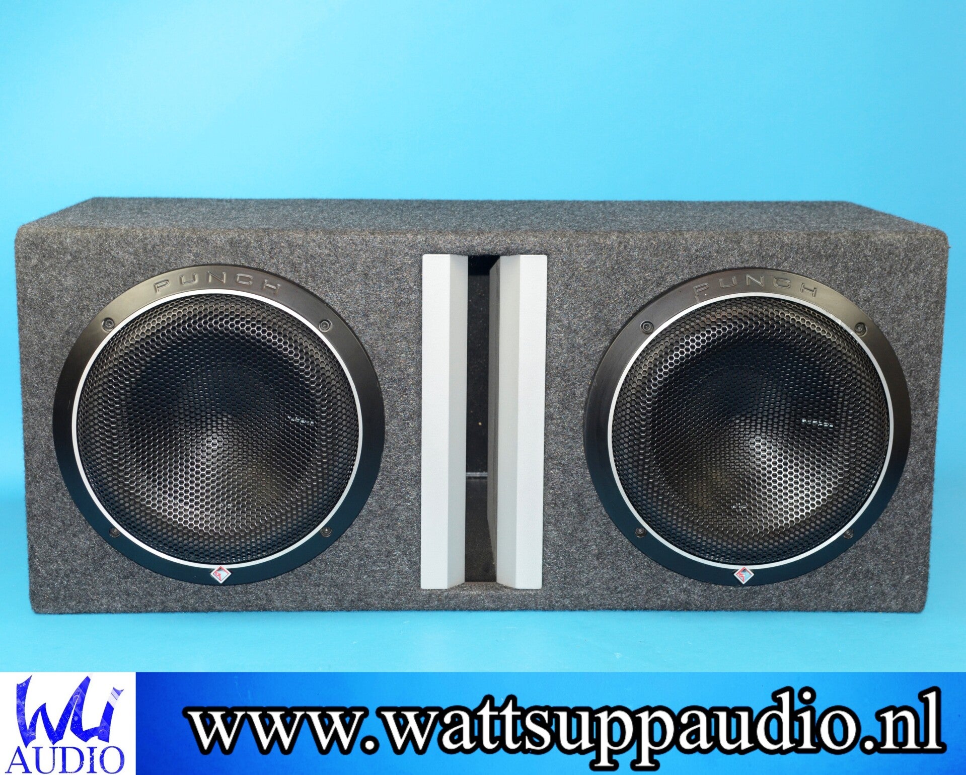 Rockford Fosgate Punch P2 2 x 10 inch subwoofer 1200W