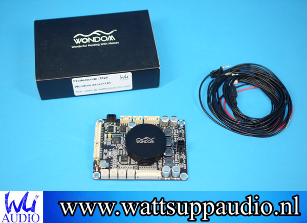 Sure Electronics AA-JA31181 1x 100 Watt Class D Audio Amplifier Board
