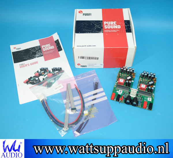 PURIFI EVAL1 amplifier Stereo set