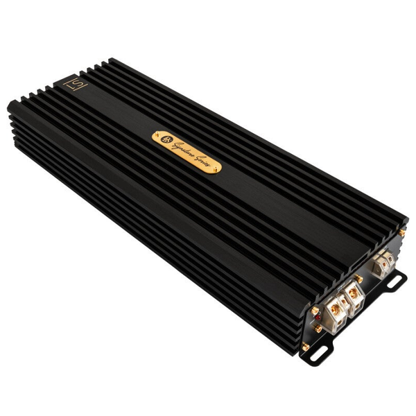 DLS 610CAS1 Monoblock amplifier 1100W RMS