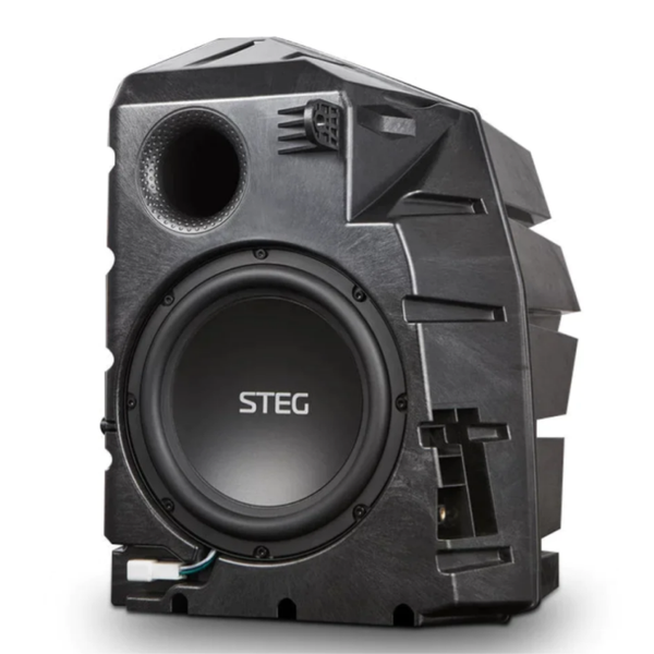 STEG MT9 Tesla subwoofer