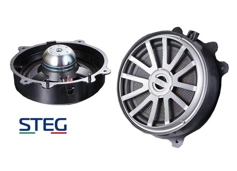 STEG MT8 Bass-midrange driver Tesla