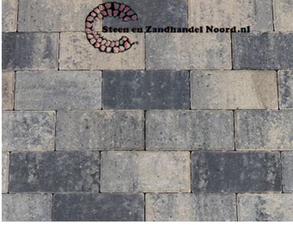 Betonstraatsteen grijs
