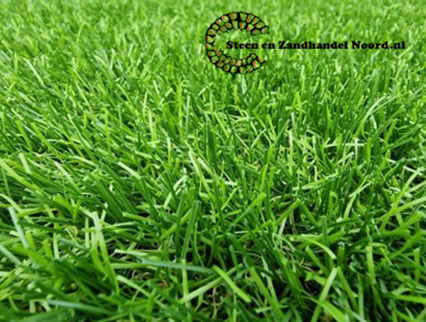 Kunstgras Siddeburen