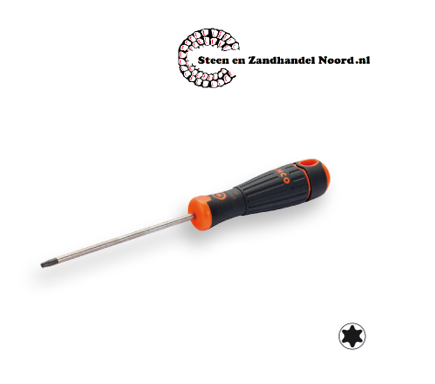 Schroevendraaier BAHCO Torx T15X100