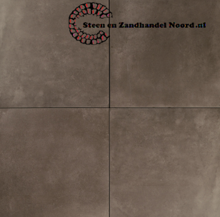 Baltramica Basic plus Dunia Greige (diverse afmetingen)