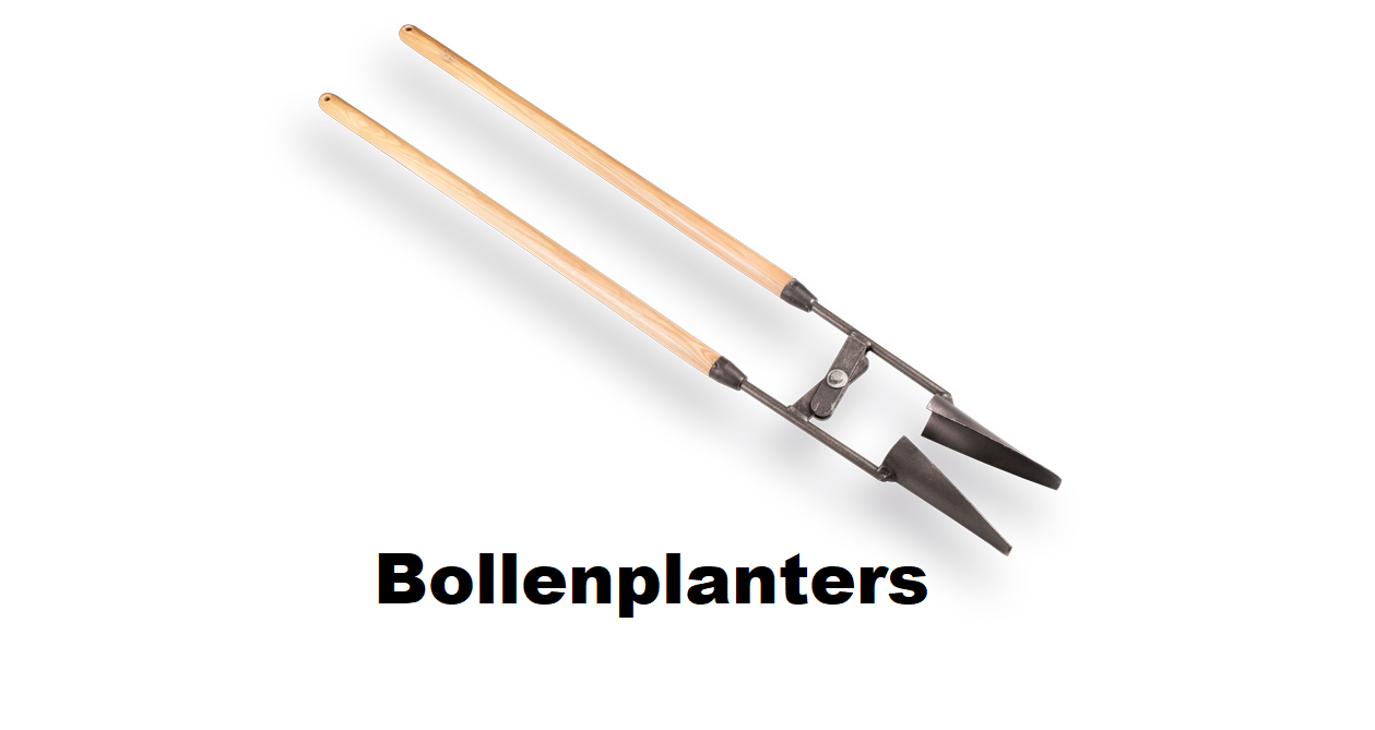 Bollenplanters