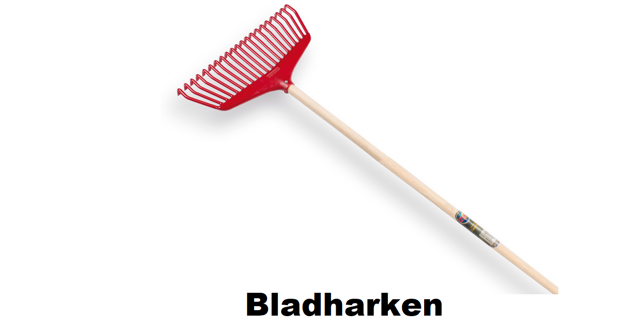 Bladharken