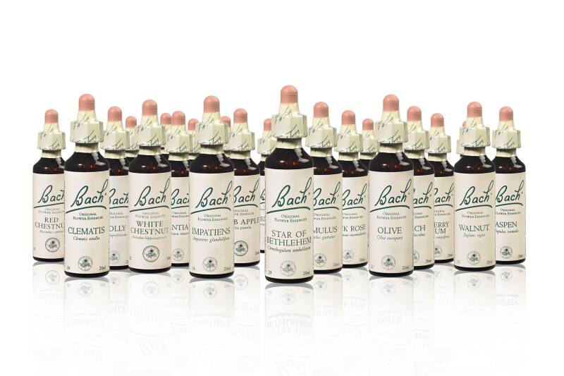 fleurs de bach - pascal bornarel - fleurance - gers - auch