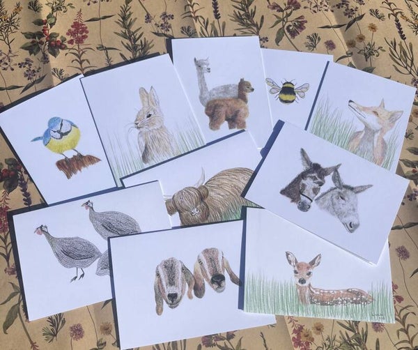 10 Assorted Animal Eco-Cards