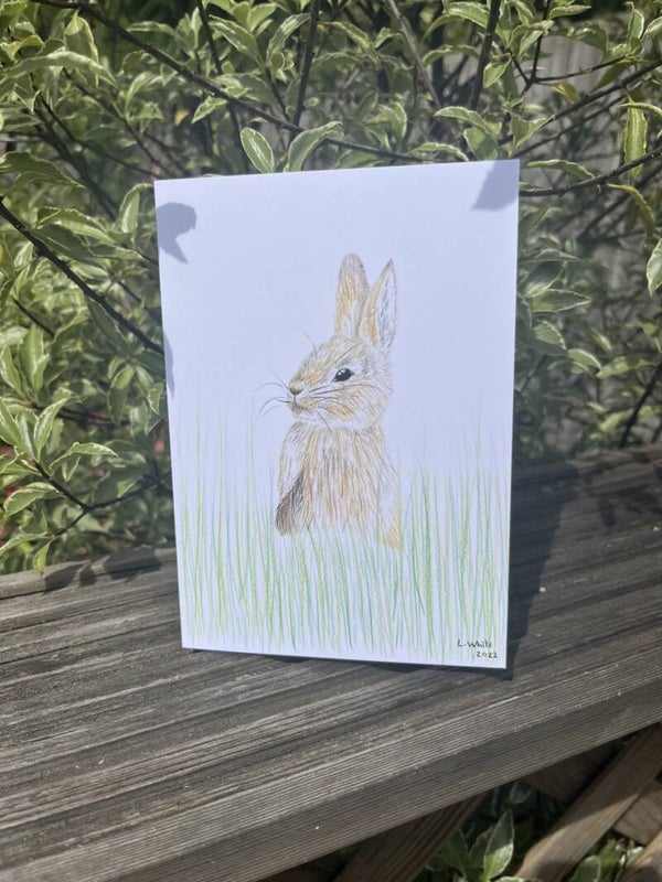 Rabbit Eco-Card