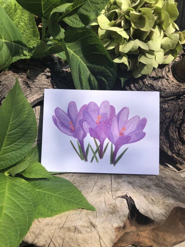 Crocus Eco-Card