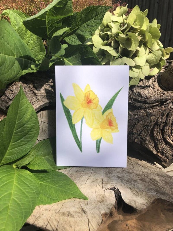 Daffodil Eco-Card