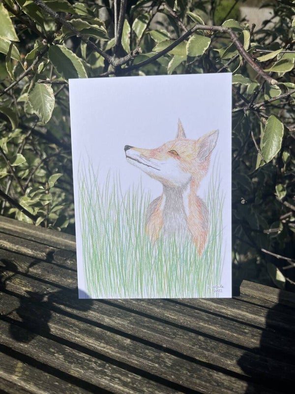 Fox Eco-Card