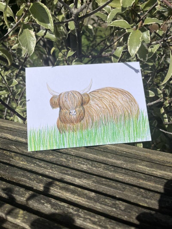 Highland Cow Eco-Card