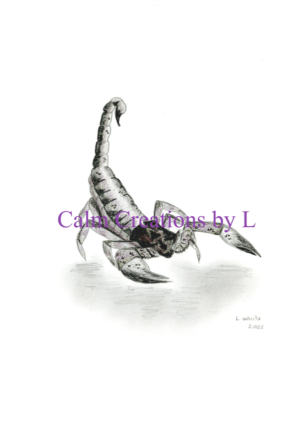 Scorpion