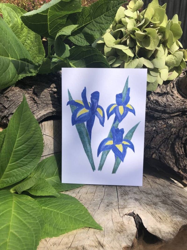 Iris Eco-Card