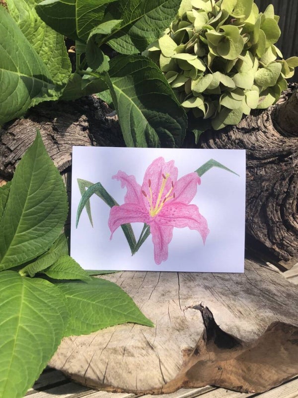 Lilly Eco-Card