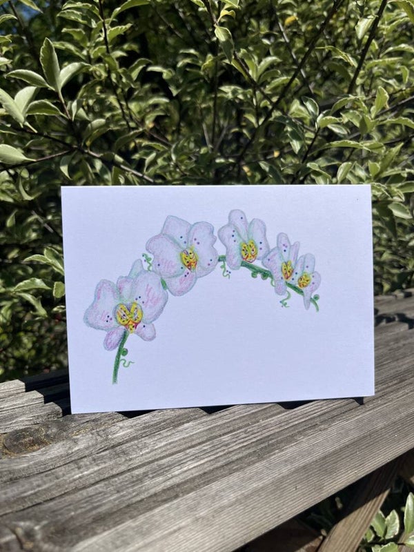 Orchid Eco-Card