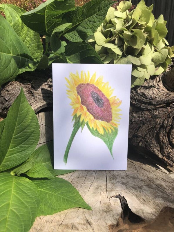 Sunflower Eco-Card