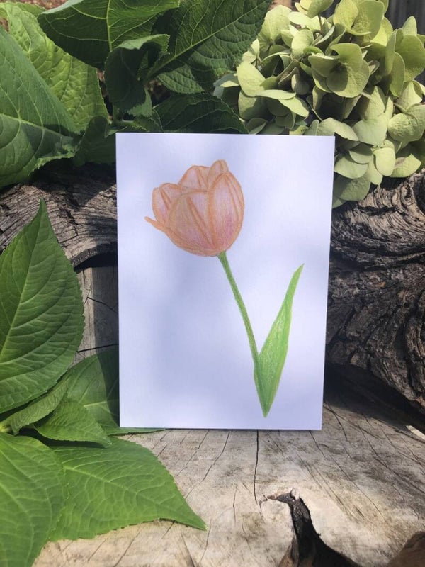 Tulip Eco-Card